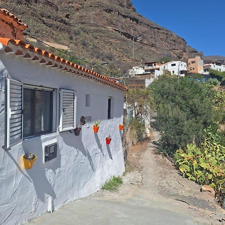 Casa Rural Los Pinares El Juncal De Tejeda Exterior foto