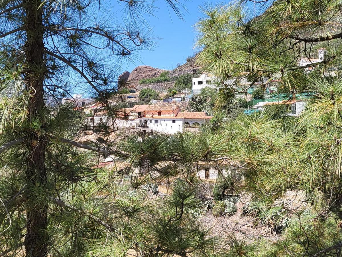 Casa Rural Los Pinares El Juncal De Tejeda Exterior foto