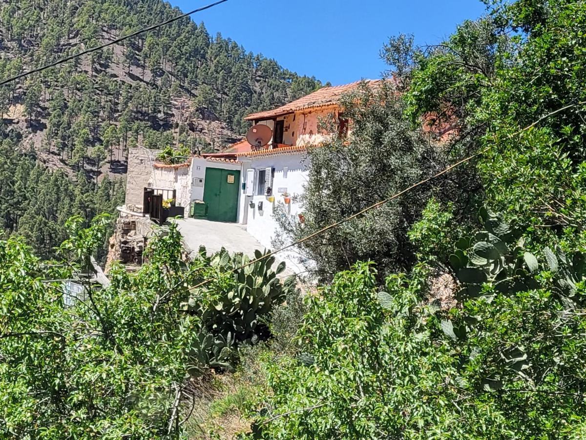 Casa Rural Los Pinares El Juncal De Tejeda Exterior foto