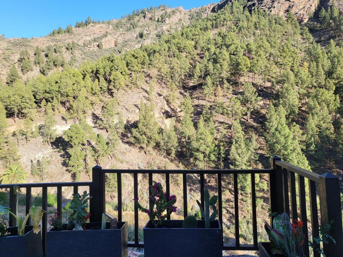 Casa Rural Los Pinares El Juncal De Tejeda Exterior foto