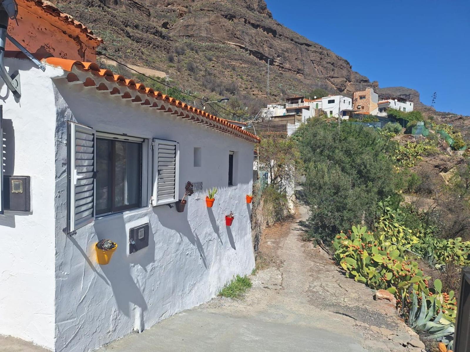 Casa Rural Los Pinares El Juncal De Tejeda Exterior foto